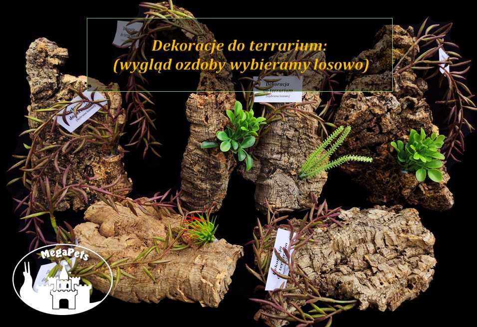 Zestaw do hodowli wijów, krocionogów, isopodów, terrarium, ślimaki
