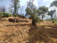 Terreno/quinta com pequena edificação