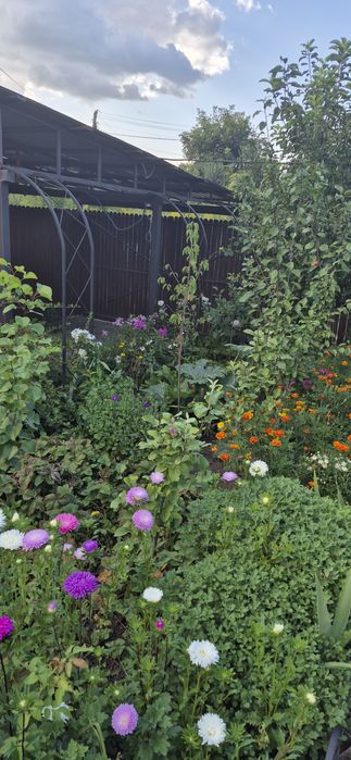 Продам шикарну дачу в якій можна жити поруч блакитні озера