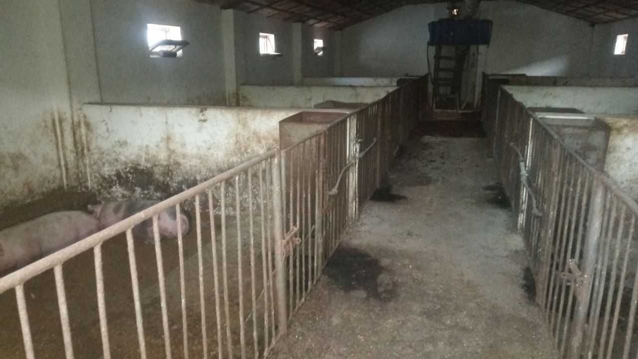 Продам бізнес під ключ, ферма для домашнього бізнесу
