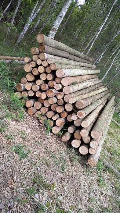 Stemple Paliki Kołki 2m