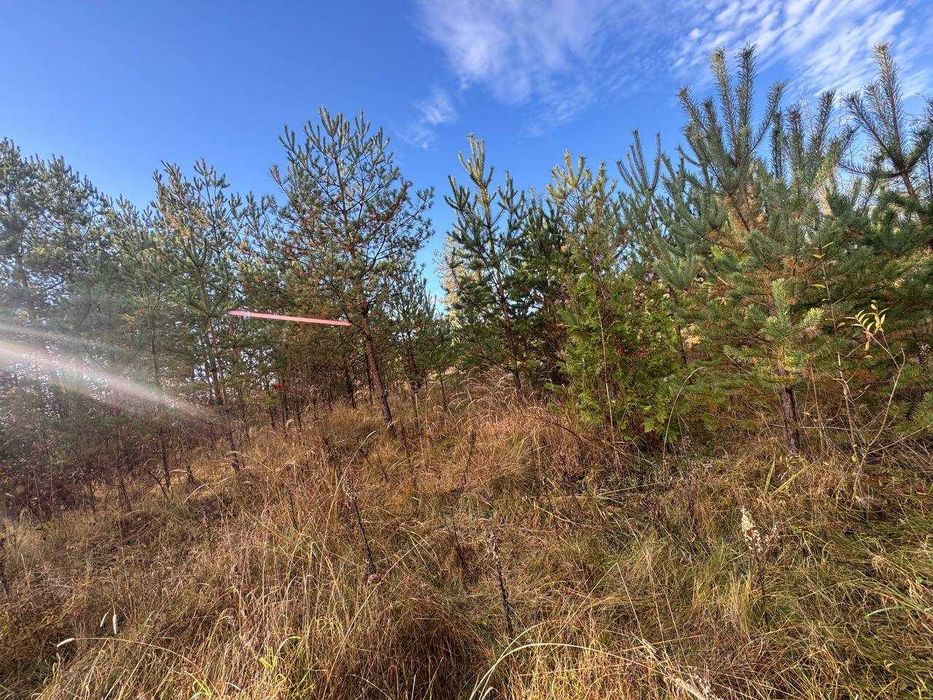 Продається  ділянка в с.Жорниська біля с.Домажир, 95 сот, промзона