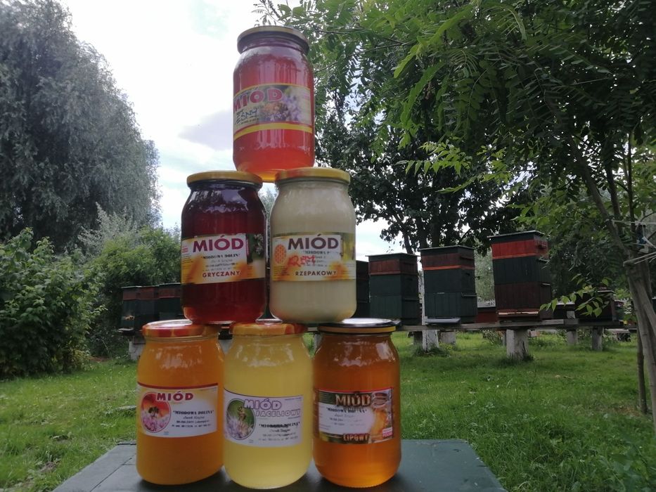 Miód wczesny wielokwiat