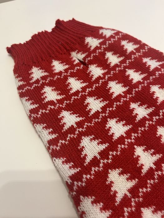 Czerwony świątwczny sweter dla psa