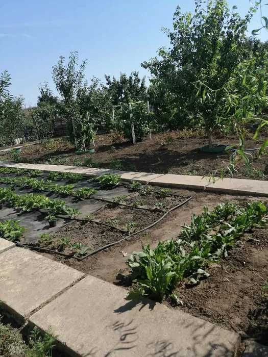 (13) Продам міцний затишний будинок в центрі Великодолинського