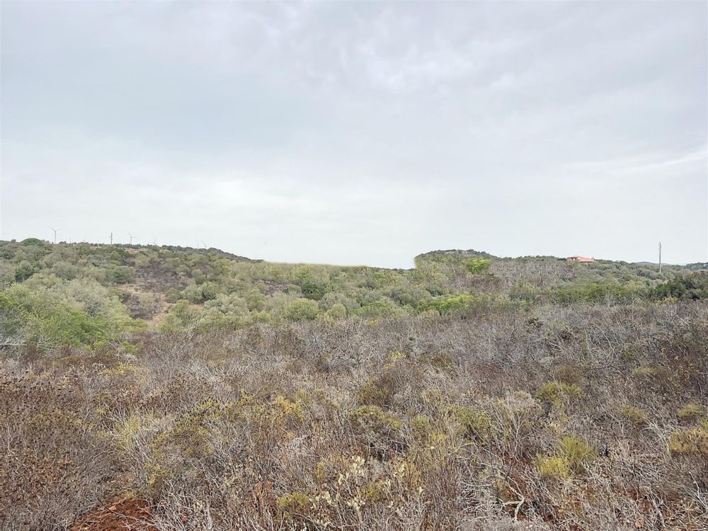 Vende se Terreno rústico de 15.000 m2 a 10 min da praia da luz