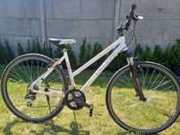 Rower Crossowy KELLYS CLEA 30 Koła 28 cali Rama Alu 49" Blokowany Amor