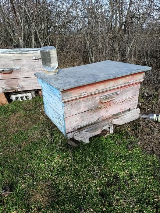 Продам вулики лежаки з бджолосімьями