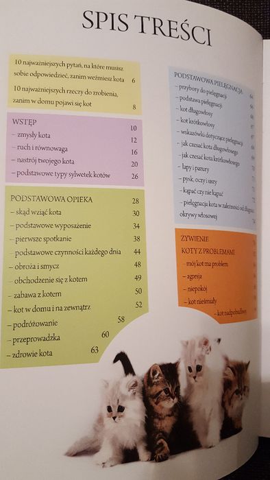 Album MÓJ KOT niezbędny poradnik książka o kotach kotek kotki kociaki