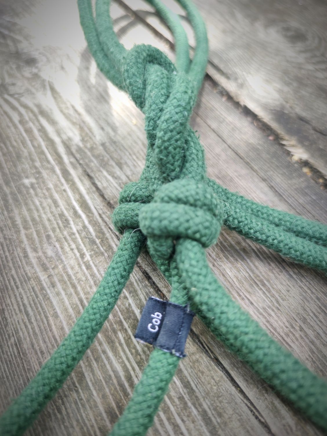 Halter dla konia Cob Zielony