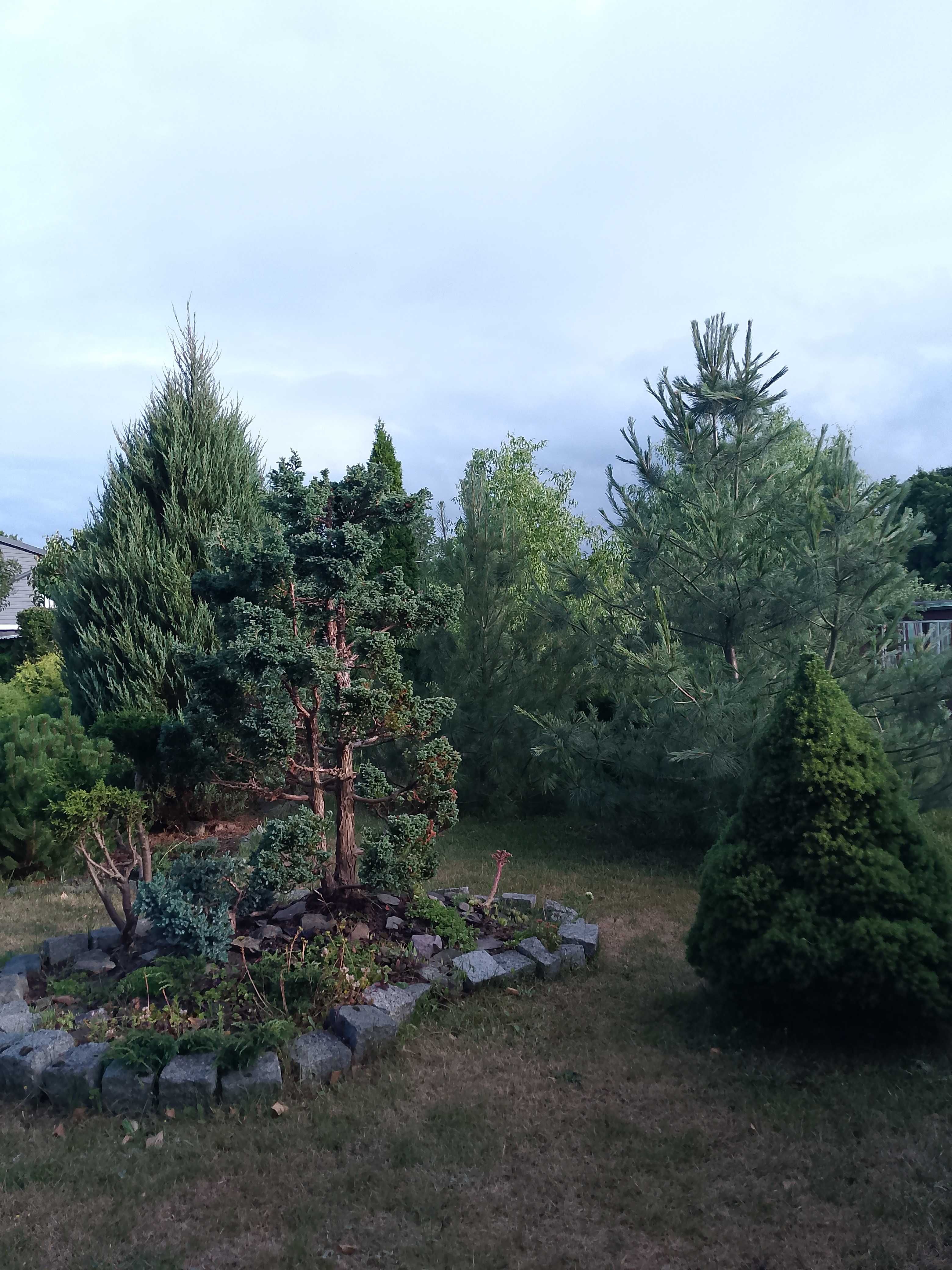 Dzialka ROD Kolejarz bezposredni dostep do rzeki Gwdy