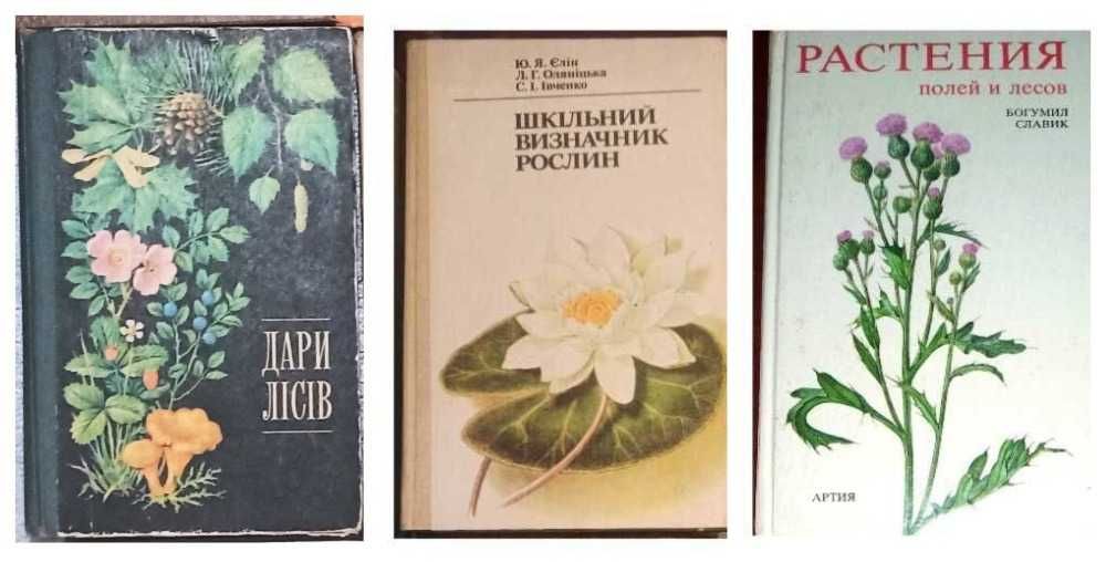 Шкільний визначник рослин. Дари лісів. Лекарственные растения