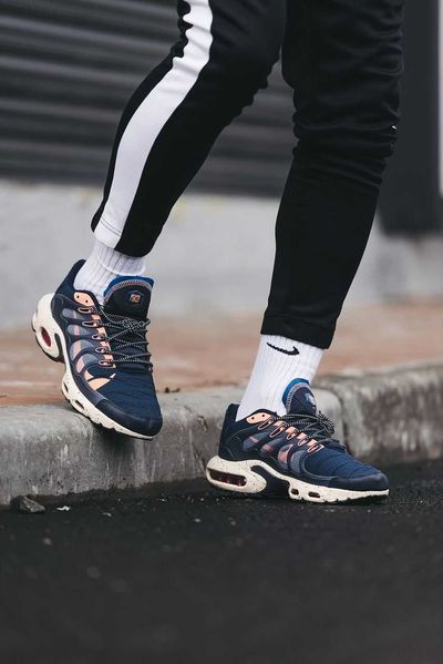 Мужские кроссовки Nike Air Max TN Plus Terrascape найк аир макс тн