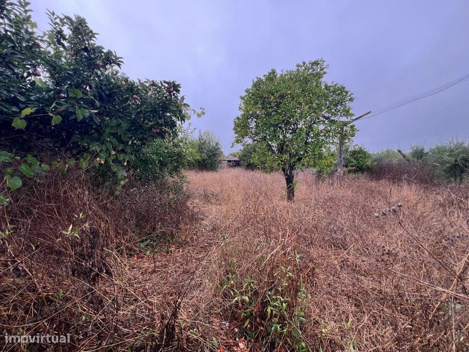 Terreno para construção em zona de São Martinho do Bispo