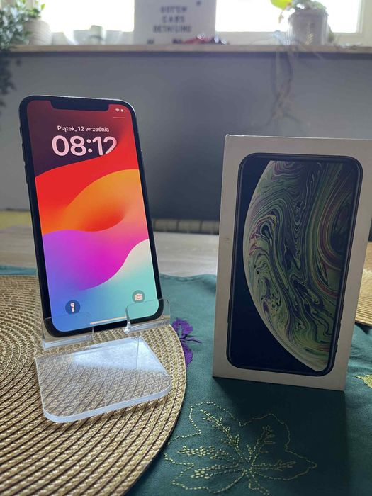 iPhone Xs 64GB 100%