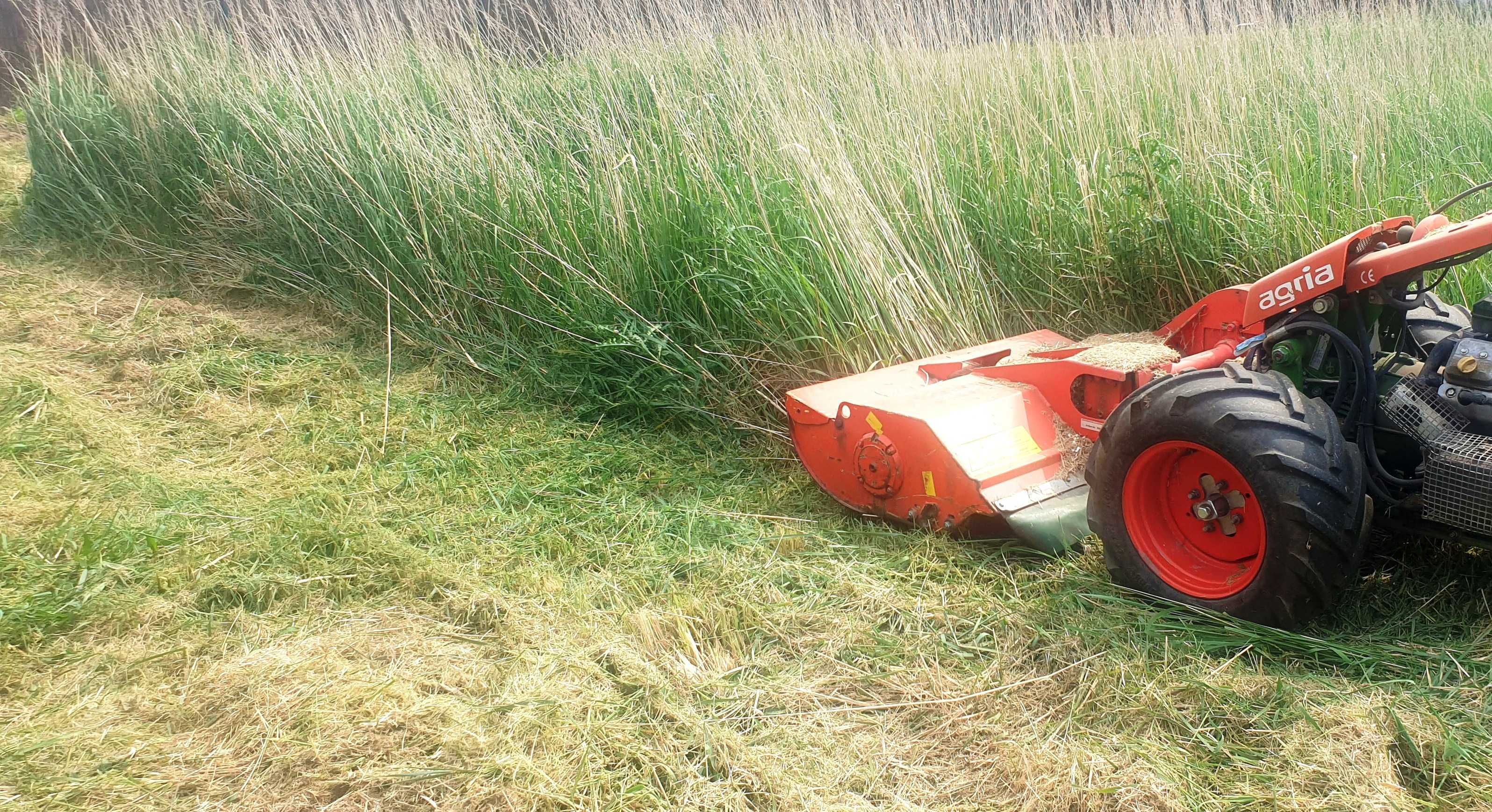 Mulczer  Agria Tajfun doskonały na farmach Fotowoltaika