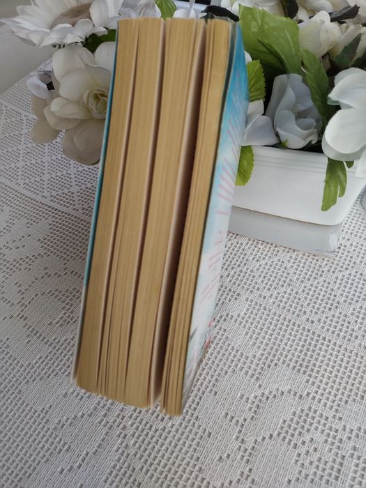 The Dream Daughter - Diane Chamberlain