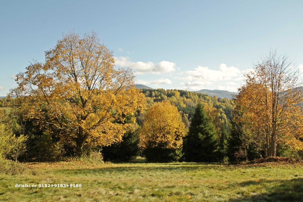 Działki rolne w górach – Sól, gm. Rajcza, powierzchnia łącznie 1 ha