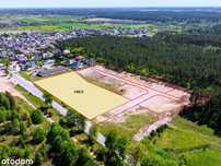 Działka Usługowa - Inwestycyjna SKARSZEWY DW224