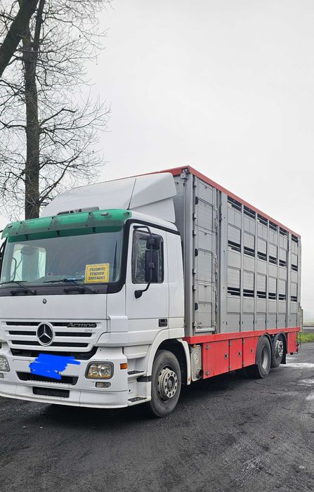 Samochód do przewozu zwierząt