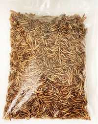 Balmax, Suszone larwy mącznika młynarka / Mealworm / 400g