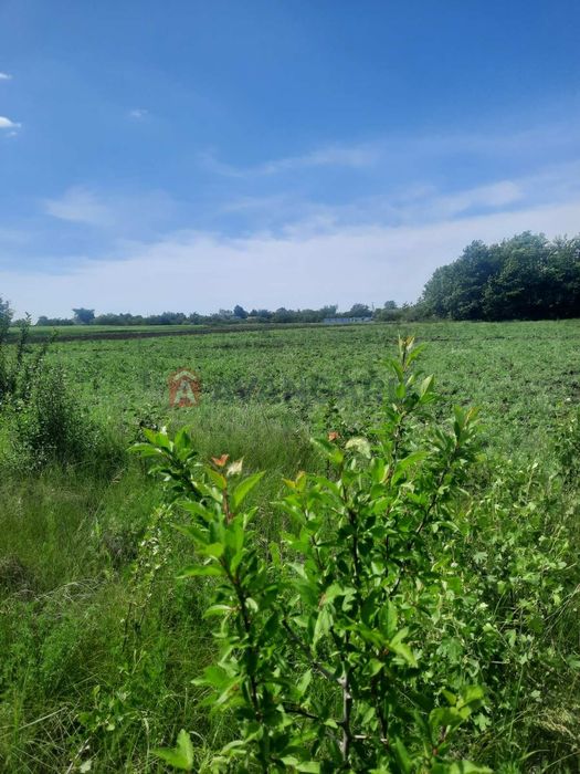 Продам земельну ділянку с.Знаменівка