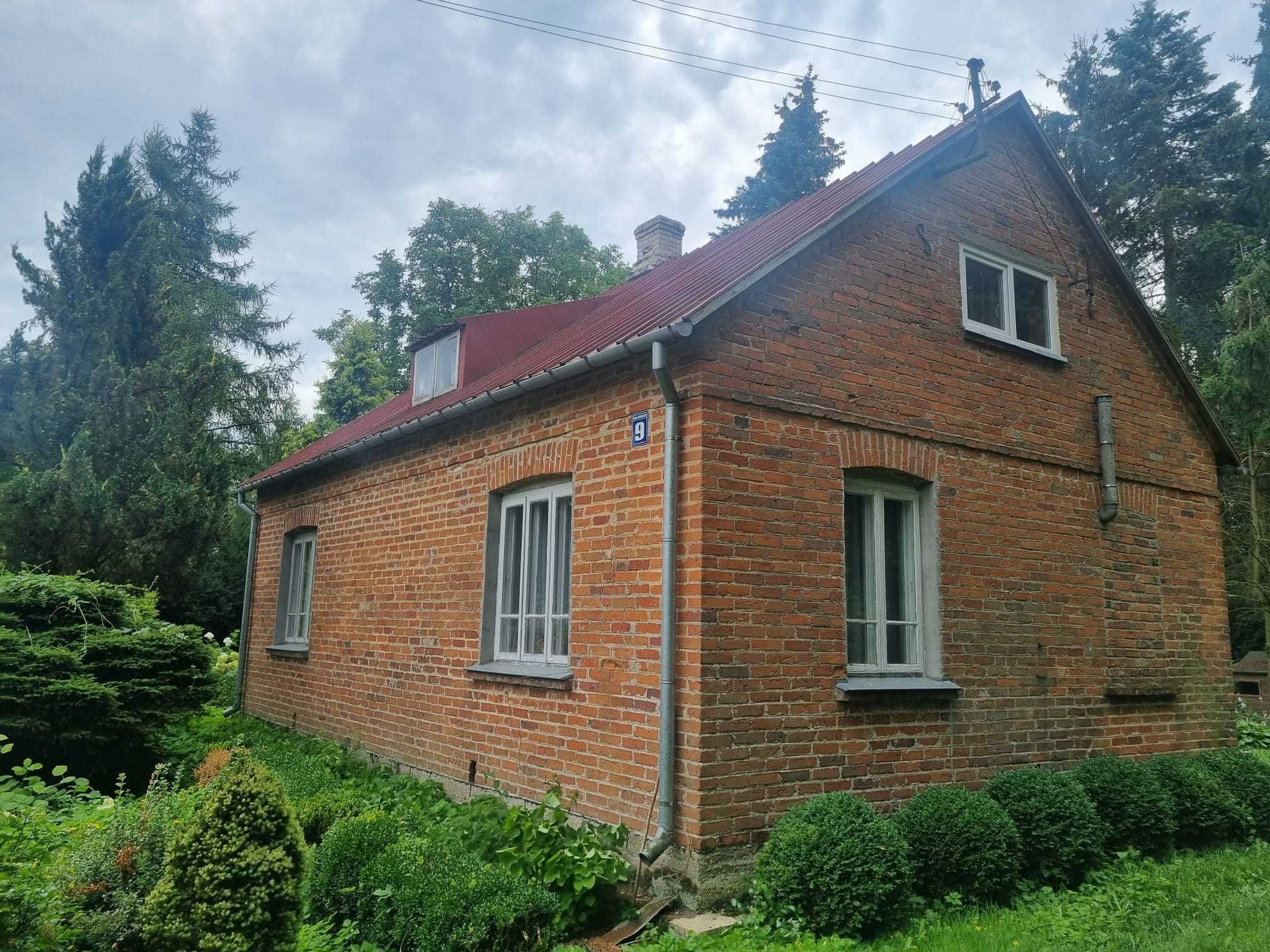 Bajkowe siedlisko niedaleko Czyżewa