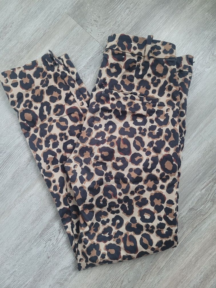 H&M leginsy spodnie panterka XS S