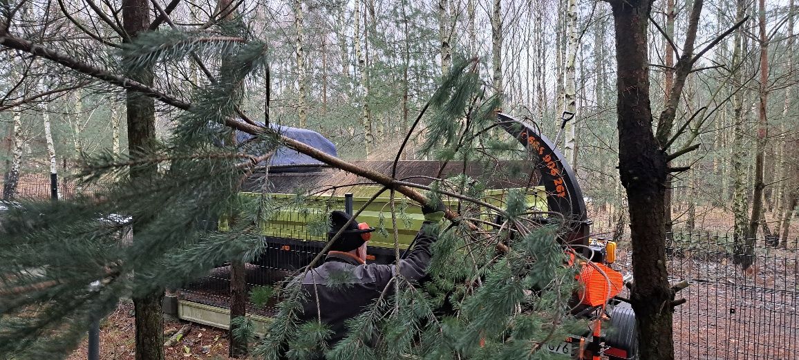 Wynajem rębaka z operatorem,Mielenie gałęzi