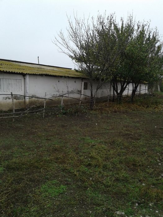 Продам отдельностоящую животноводческую ферму в Криворожском районе