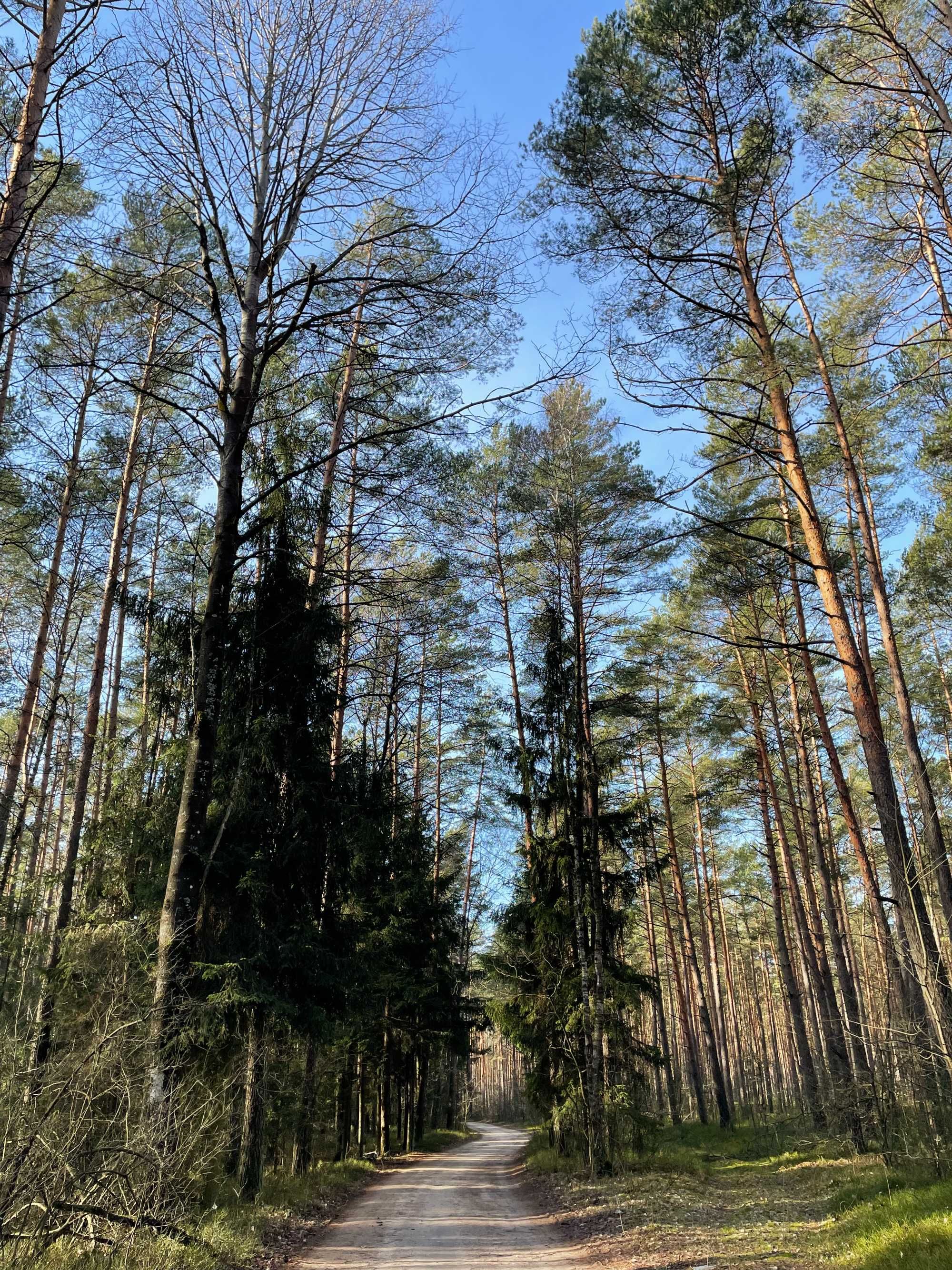 Działka budowlana 1900m2, Chrzczanka-Folwark, 1h od Warszawy, Narew