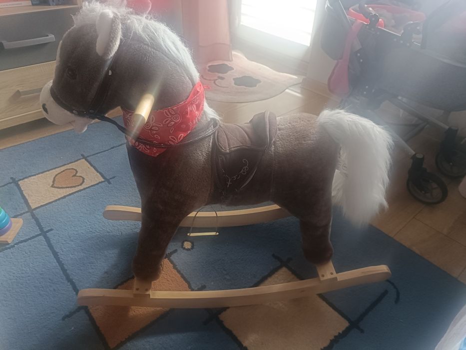 Koń na biegunach