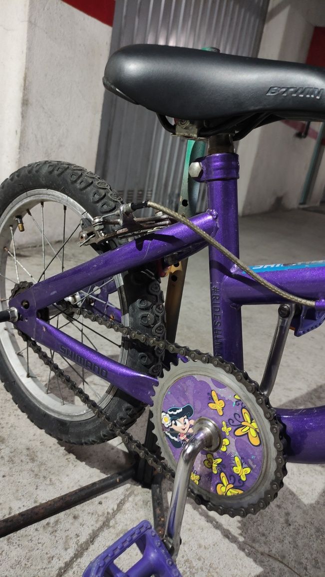 Bicicleta criança