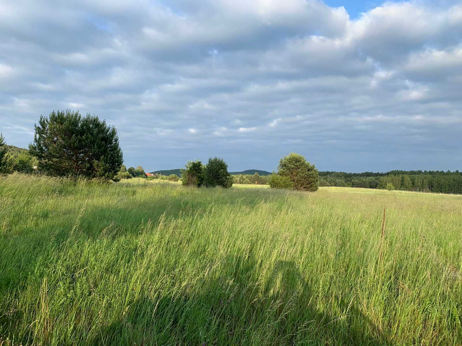 Działka budowlana Bolmin