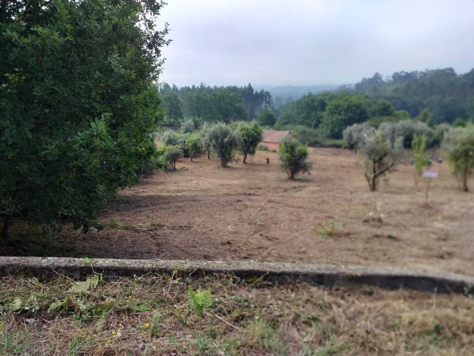 Terreno para construção junto à ecopista do dão
