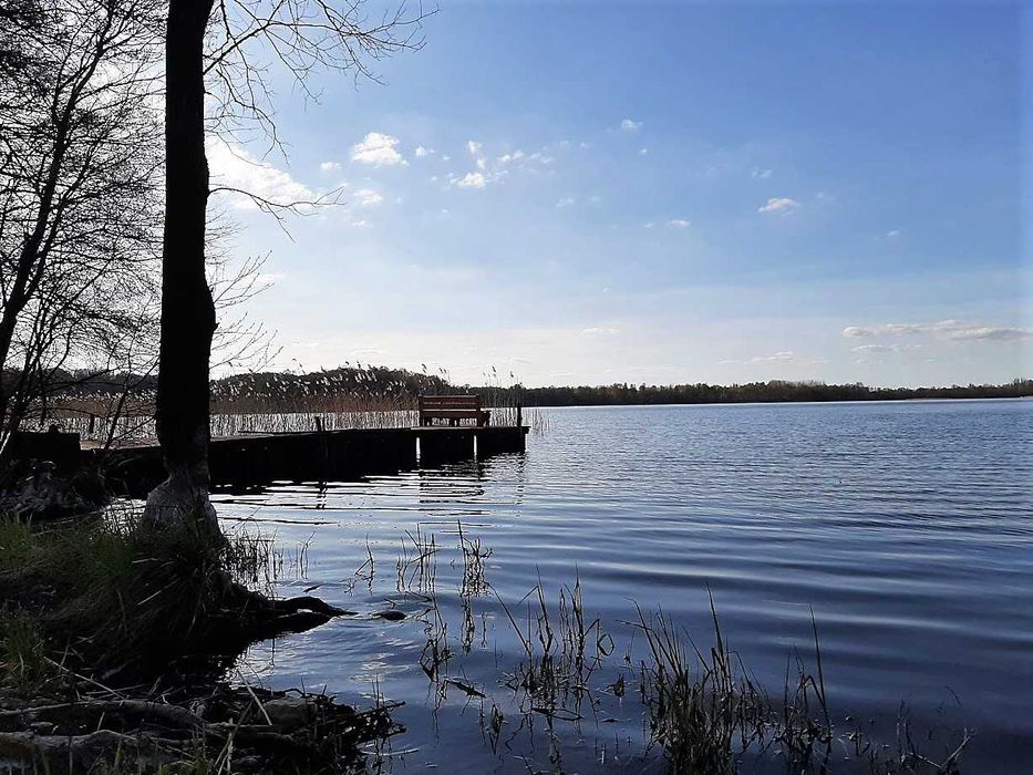 Domek letniskowy nad jeziorem Dadaj, linia brzegowa, pomost, łódki