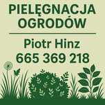 Usługi Pielęgnacja Ogrodów | Koszenie, Przycinanie, Porządkowanie