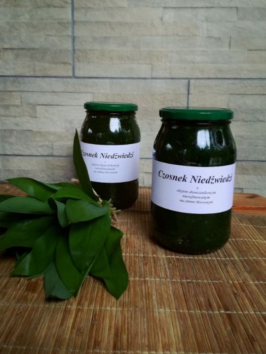 Czosnek niedźwiedzi PESTO, mielony, słoiki oraz świeże liście 25zł/kg