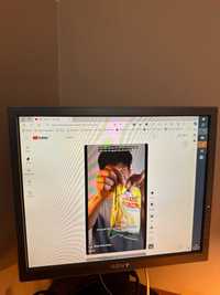 Monitor Sony komputerowy LCD