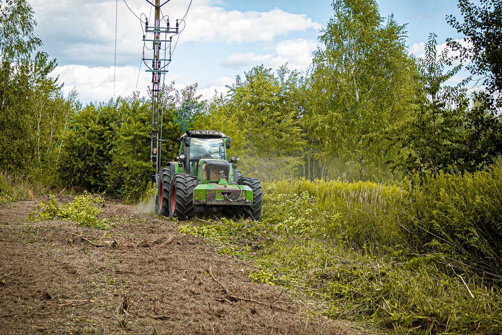 Wycinka Drzew, Mulczowanie, Frezowanie, Karczowanie