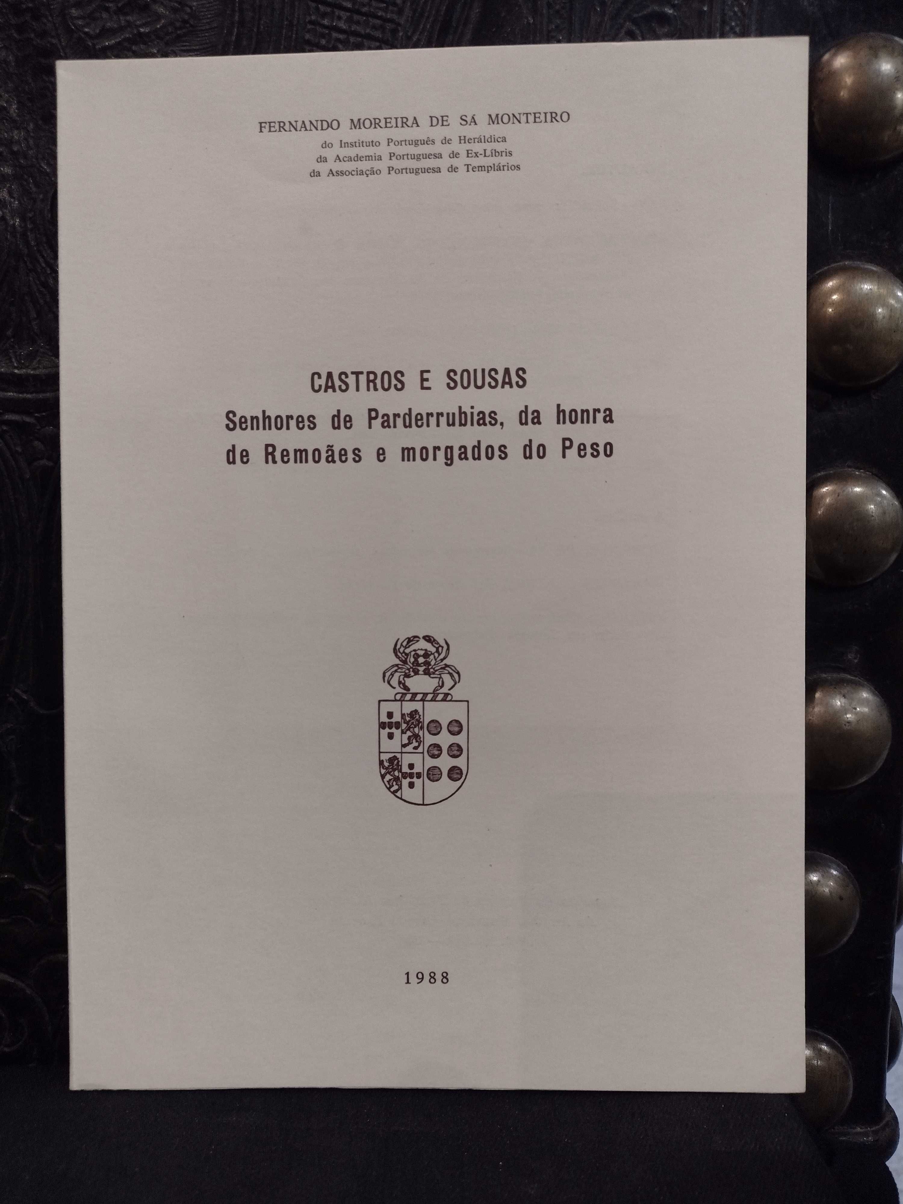 Castros e Sousas, Parderrubias, da honra de Remoães e Morgados do Peso