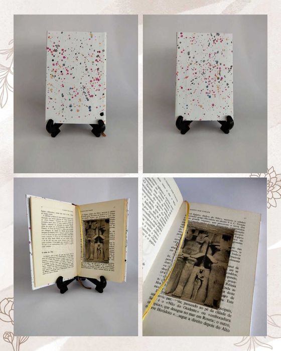 Livro com esconderijo secreto