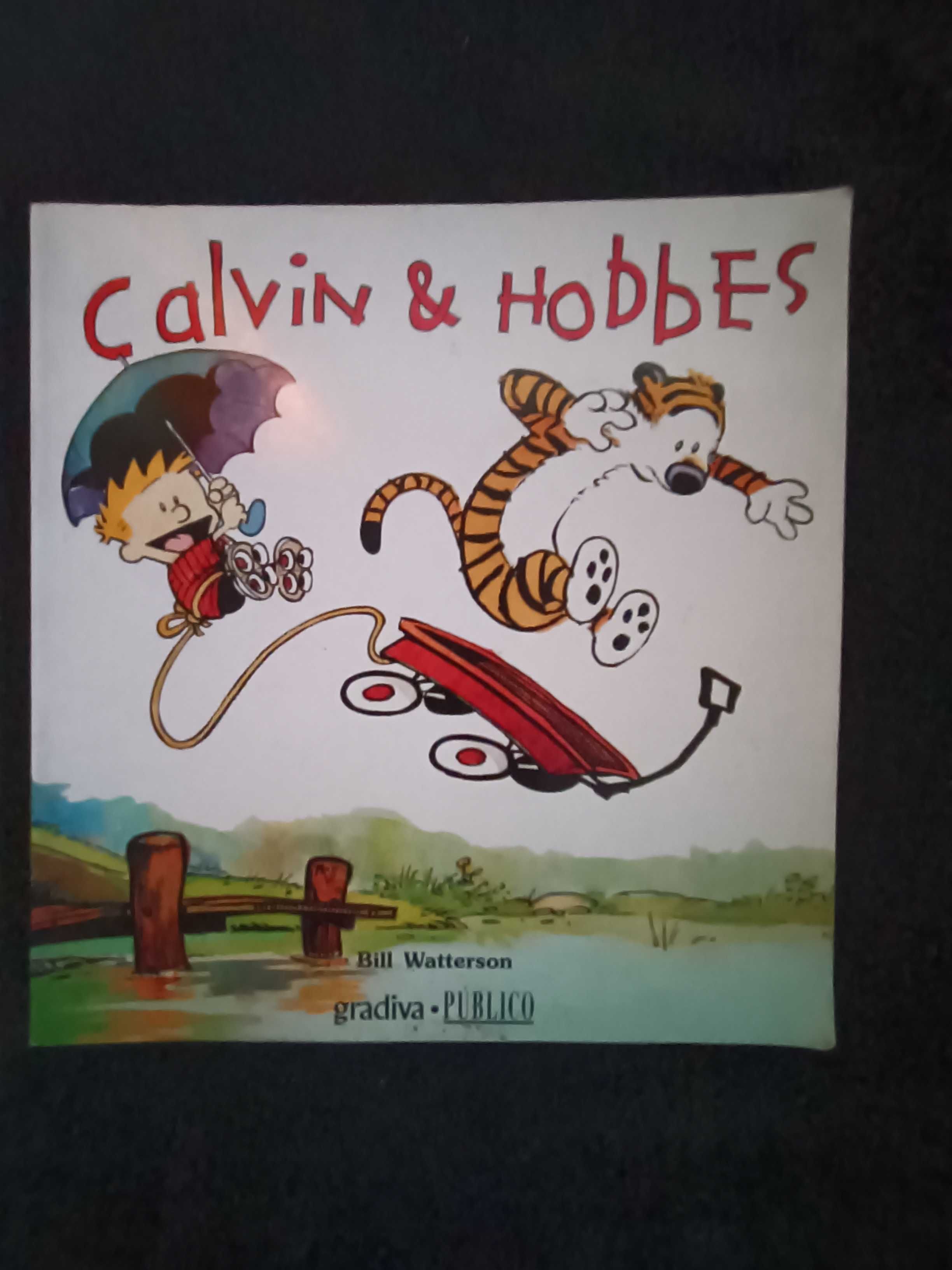 Calvin & Hobbes - portes incluídos