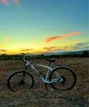Scott aspect 940
