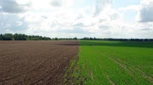 Беру землю в оренду