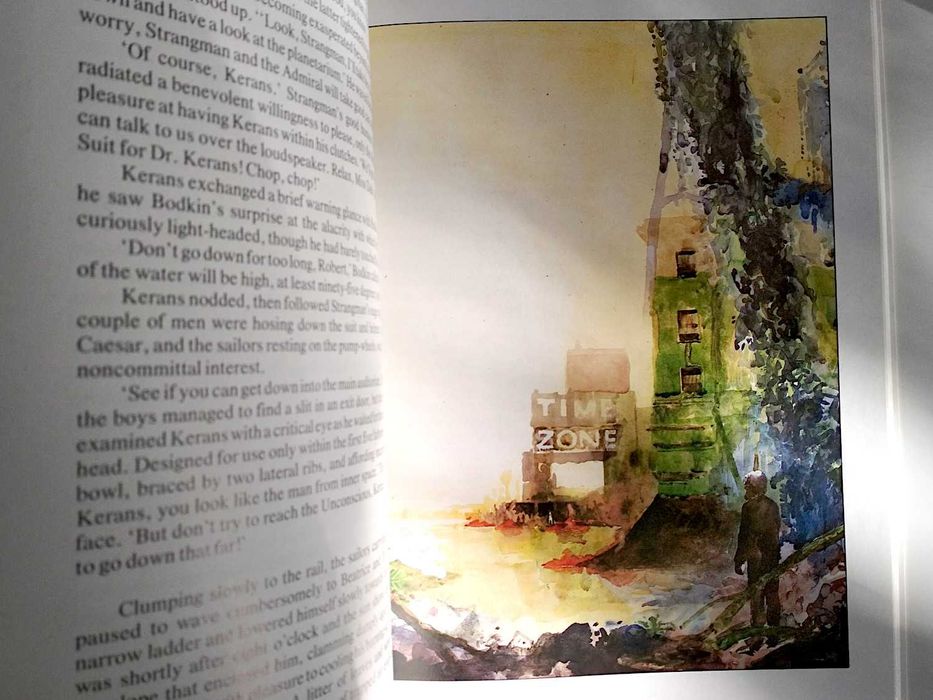 J. G. Ballard - The Drowned World (ilustrado; porte incluído)