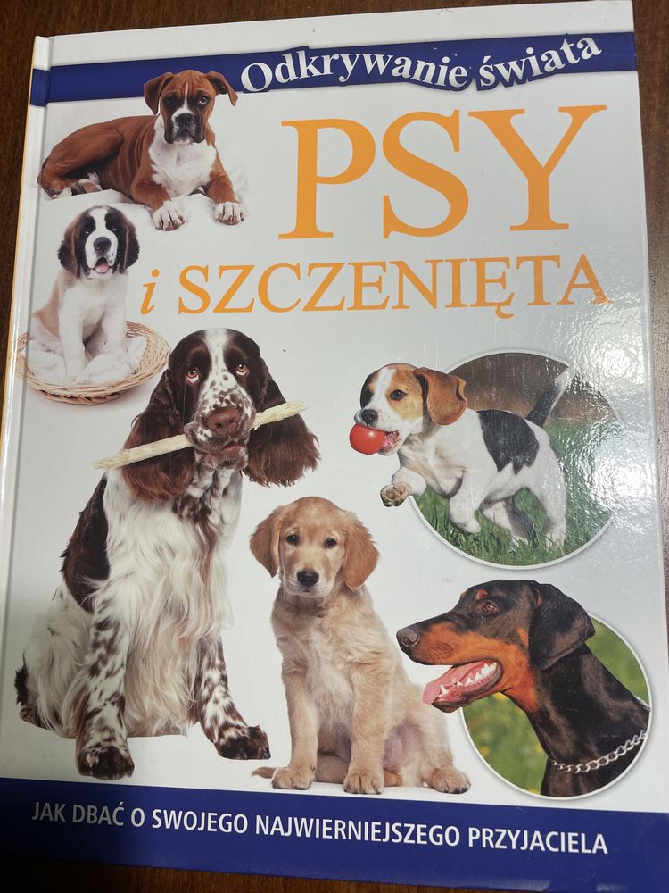 Pay i Szczenięta