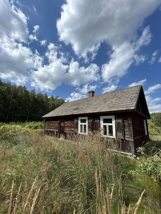 Spokój, las i własne siedlisko na wsi – lubelskie