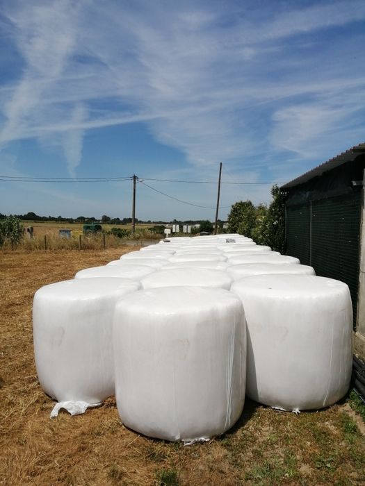 Vendo bolas de silagem