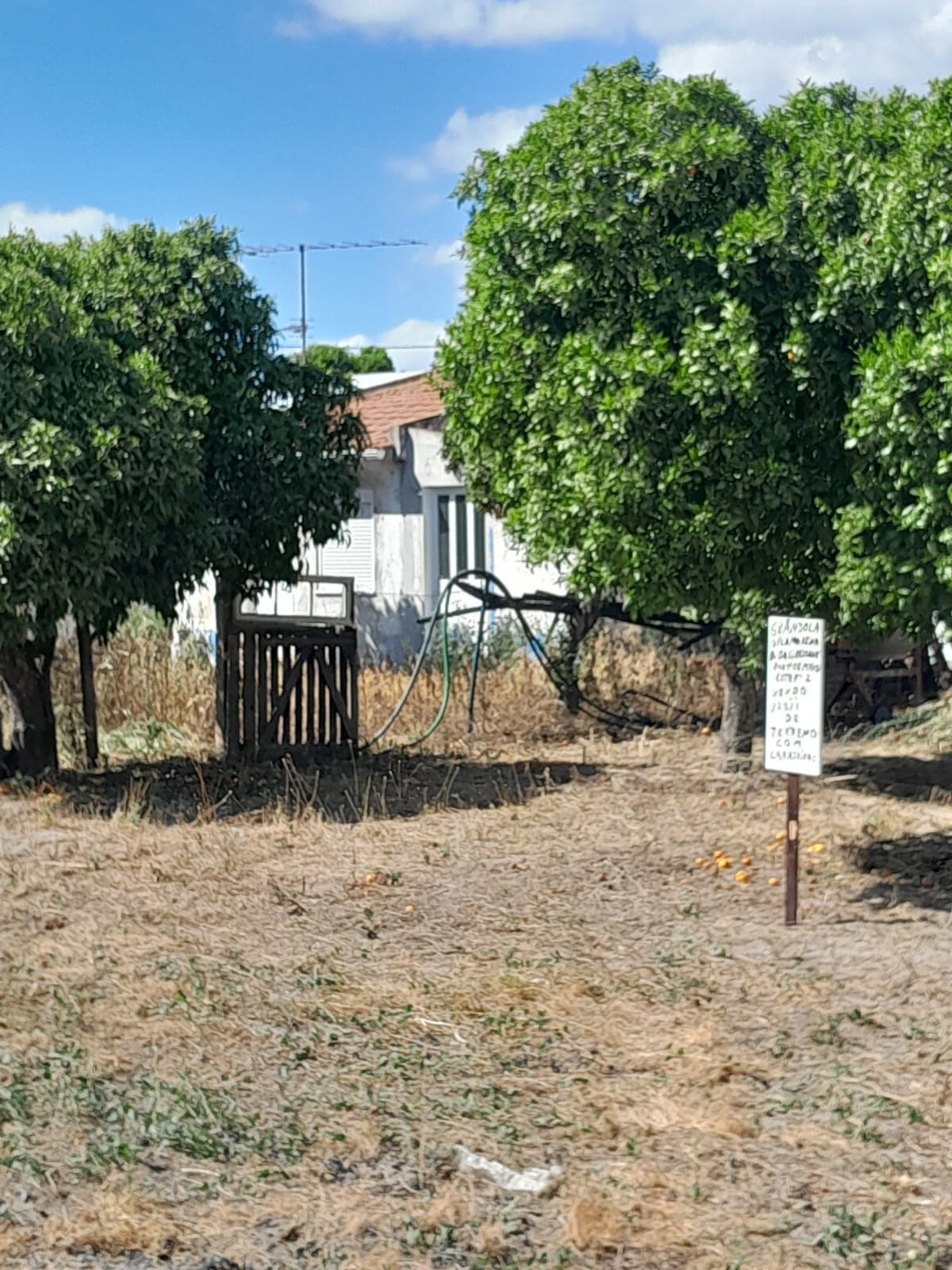 Lote para construção em Grândola